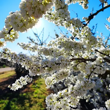 La Casita De Val Lägenhet Valdelacalzada