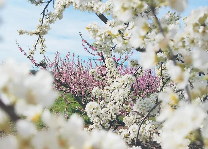 La Casita De Val Apartamento *