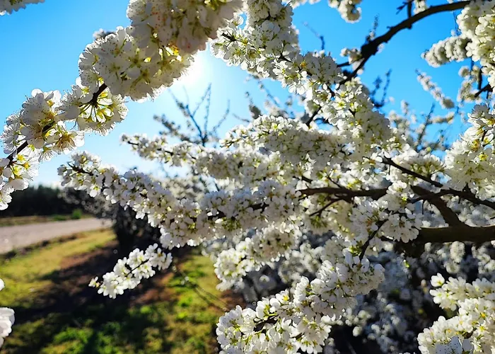 La Casita De Val Apartamento Valdelacalzada
